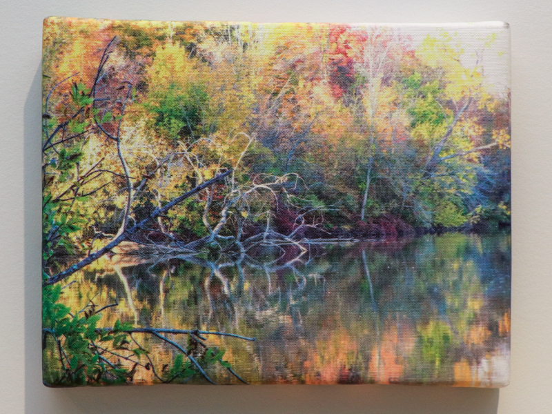 Experiences and nature inspire me to capture the feelings evoked through photography. This is a photo taken of Madison Lake, in London, Ohio near my home.